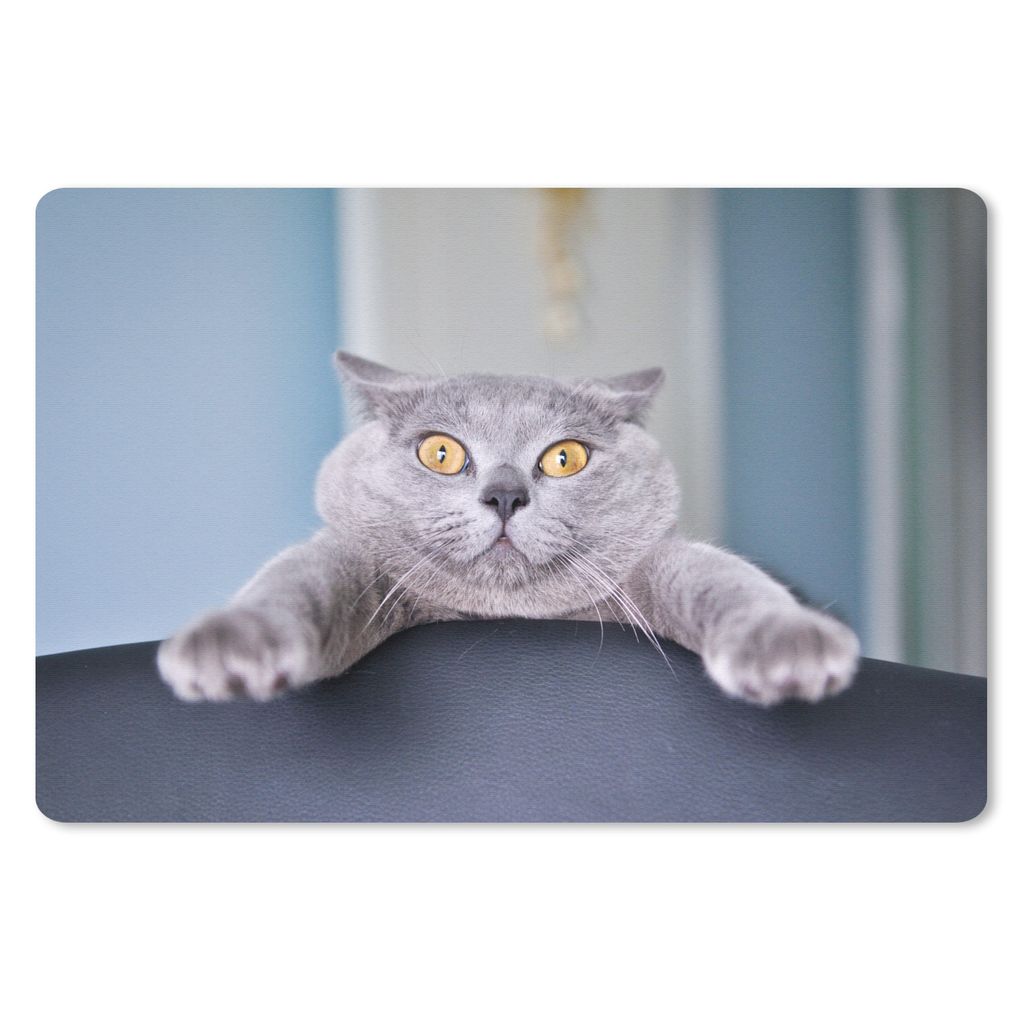 MuchoWow Mauspad Mousepad Katze - Grau - Stuhl 27x18 cm - Mousepads - Maus Mat - Pad - Mausunterlage - Büroartikel - Desk Matten