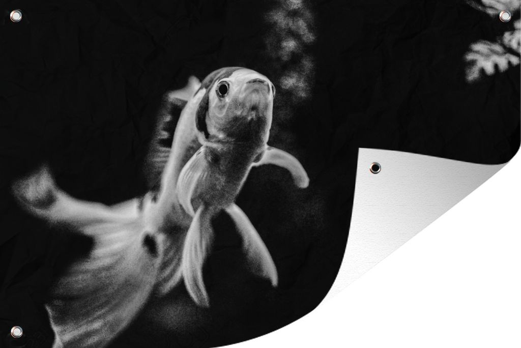 MuchoWow 120x80 cm Outdoor-Poster Gartendeko Sichtschutz Garten Poster für den Garten Goldfisch schwimmt in Schwarz und Weiß auf