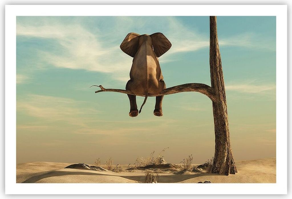 Poster - Poster ohne Rahmen - Elefant sitzend Ast - 91,5x61 cm - Wand Bild - Wanddeko - Wandbilder - Kunstposter - Wandposter - Bilder - Kunstdruck...