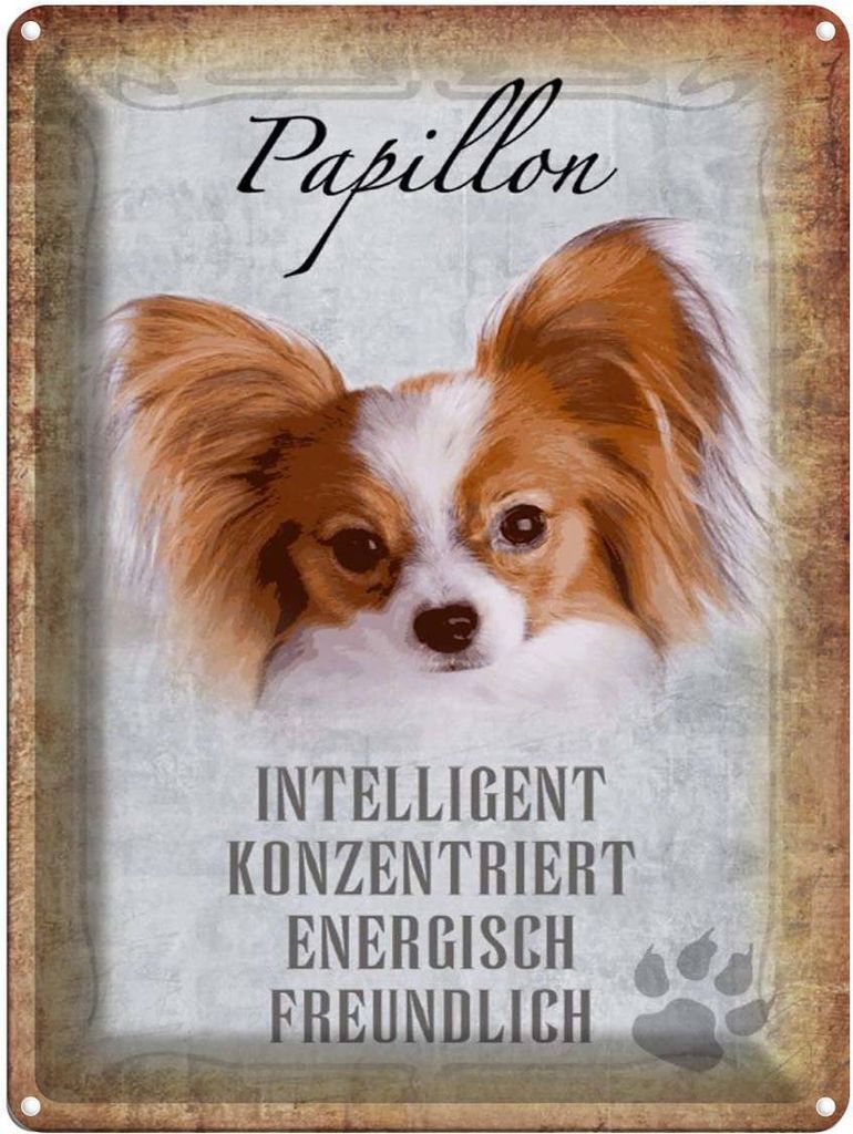 vianmo Blechschild 40x30 cm Papillon Hund Produktbild 