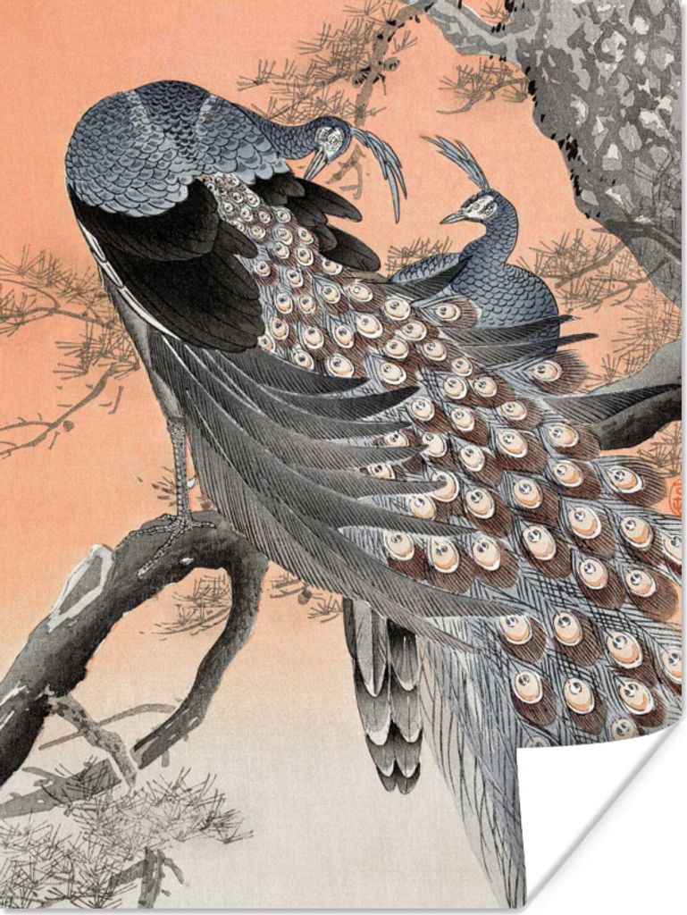 MuchoWow Poster Tiere - Pfauenfedern - Vintage - Pfau 60x80 cm - Schlafzimmer Dekoration