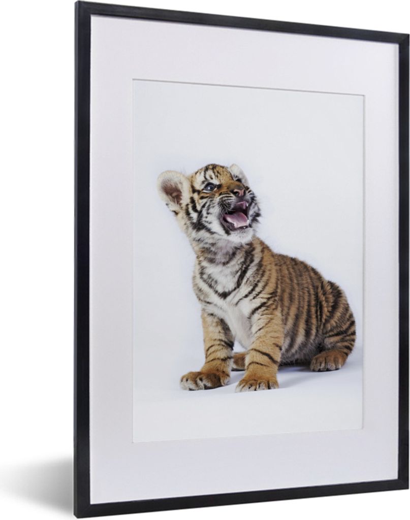 MuchoWow MuchoWow Gerahmtes Poster Tiger - Jungtier - Tier 30x40 cm - Poster mit zchwarzem Bilderrahmen - Wandposter Schlafzimmer