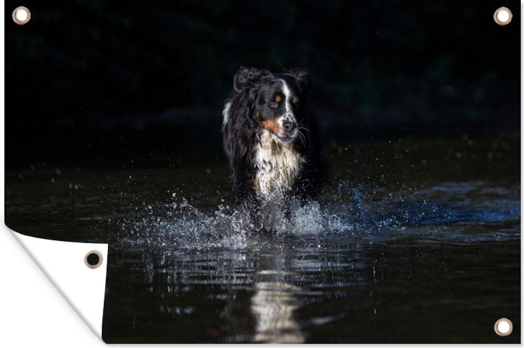 MuchoWow 120x80 cm Outdoor-Poster Gartendeko Sichtschutz Garten Poster für den Garten Hund im Wasser auf schwarzem Hintergrund