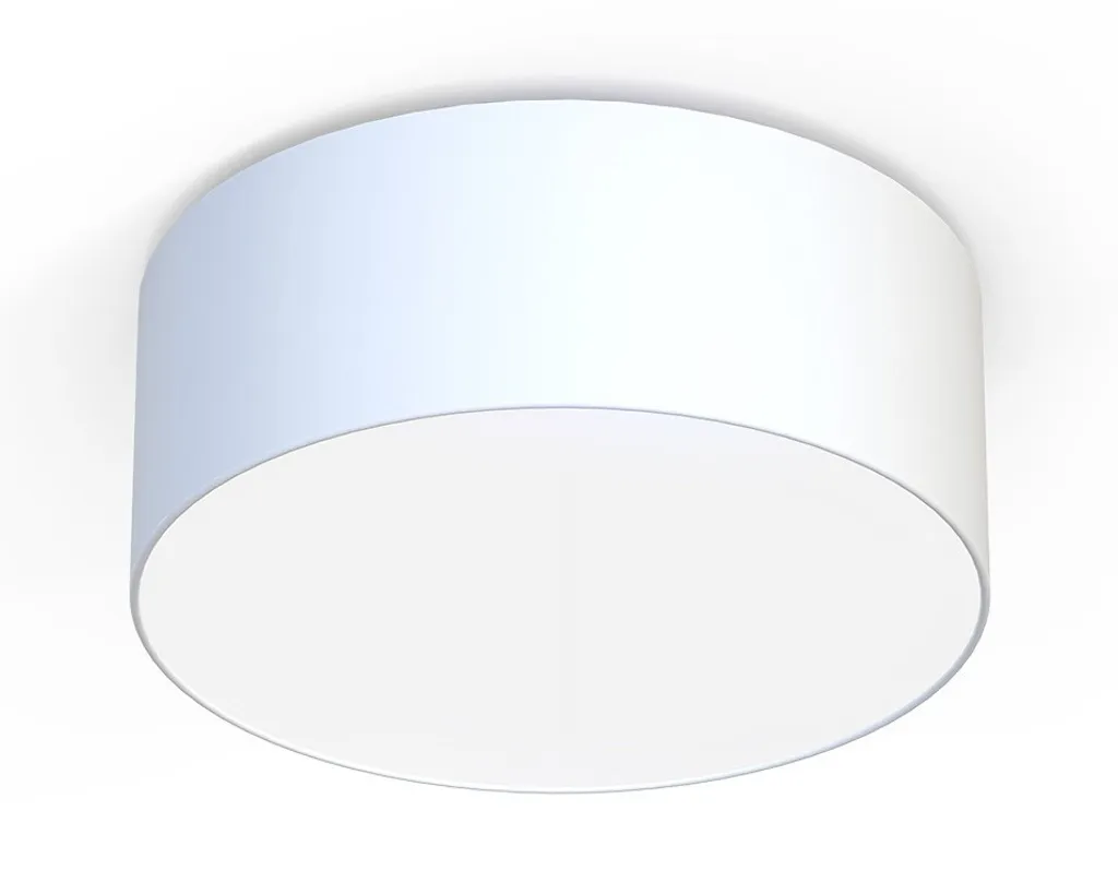 Plafonnier plat CAMERON II 9605 - Solution d'éclairage pour plafond bas