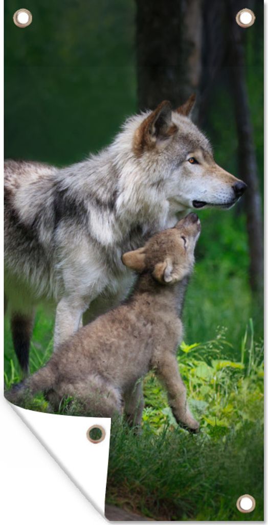 MuchoWow 40x80 cm Outdoor-Poster Gartendeko Sichtschutz Garten Poster für den Garten Wolf - Baby - Wald