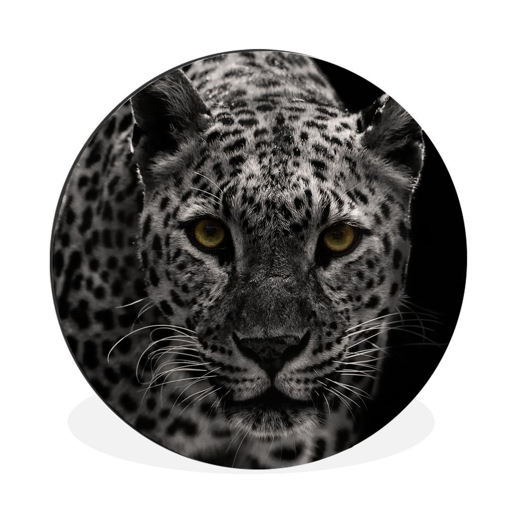 MuchoWow Aluminium Wandkreis Schwarz-Weiß-Foto eines farbigen Leoparden Ø 60 cm Wanddeko Modern Wohnzimmer - Wand Kreis - Wandbild - Schlafzimm...