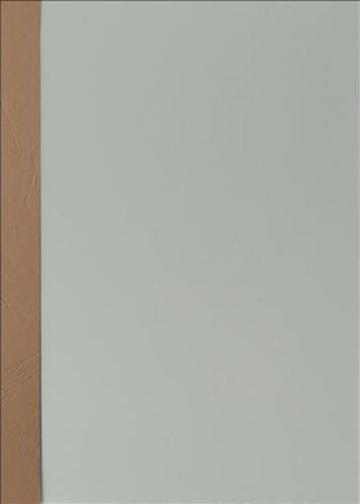 Abdeckfolie satiniert mit Kartonrand in Leder-Struktur für Surebind, Farbe hellbraun, 100er Pack ohne Rückendeckel