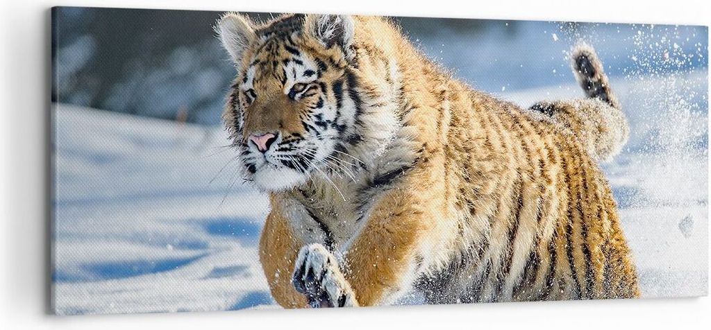 Bild auf Leinwand - Leinwandbild - tiger tier - 120x50cm - Wand Bild - Wanddeko - Wandbilder - Leinwanddruck - Bilder - Kunstdruck - Wanddekoration...