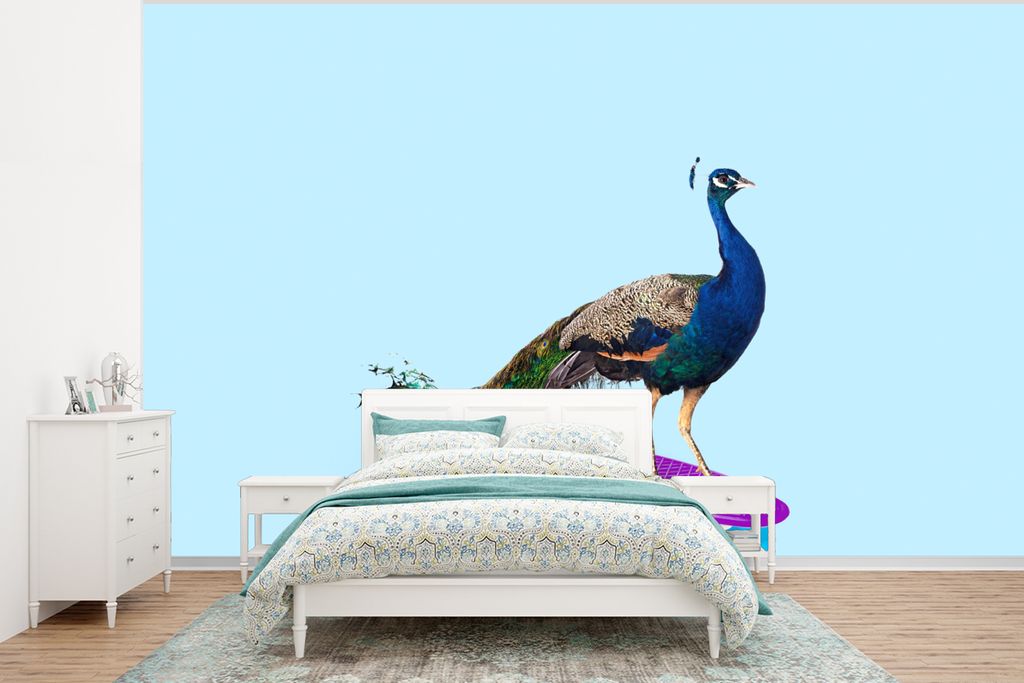 MuchoWow Fototapete für Wohnzimmer oder Schlafzimmer Wandtapete Vinyl Motivtapete Pfau - Blau - Skateboard - Tiere - Lustig - 295x220 cm - Wand ...