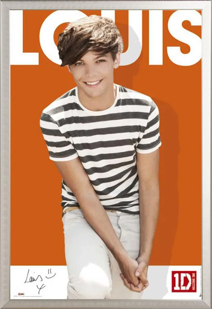 Cadre Photo Aluminium avec Poster One Direction Louis Maxi Format Argent