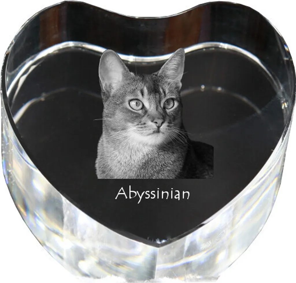 Horloge sur pied personnalisée en cristal robuste motif Abyssin
