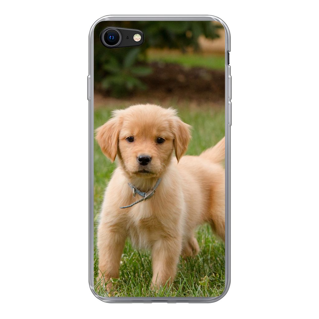 MuchoWow Handyhülle Schutzhülle Hülle für iPhone 8 Golden Retriever Welpe im grünen Gras Silikon Softcase Handy Hülle - Schutzhaube