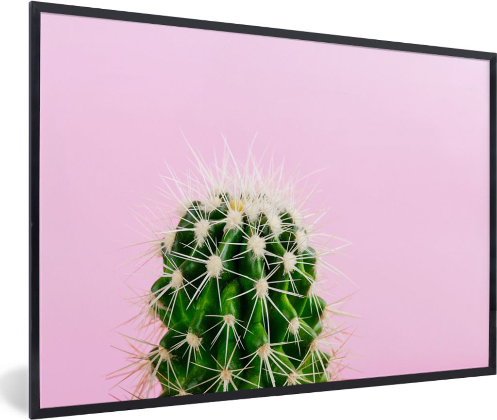 MuchoWow MuchoWow Gerahmtes Poster Kaktus auf Rosa 90x60 cm - Poster mit zchwarzem Bilderrahmen - Fotorahmen - Foto-Plakat