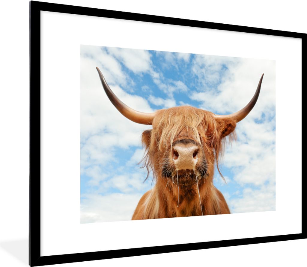 MuchoWow Gerahmtes Poster Schottischer Highlander - Wolke - Tiere 80x60 cm - Poster mit Schwarzem Bilderrahmen Wandposter Rahmen Foto Bilder - Sc...