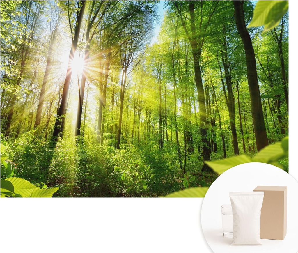 Fototapete - Wandbilder für Wohnzimmer - 152x104 cm - Dekorative Wandfolie - Modernes Design für Wanddekoration - Tapeten für Innenräume - Wald...
