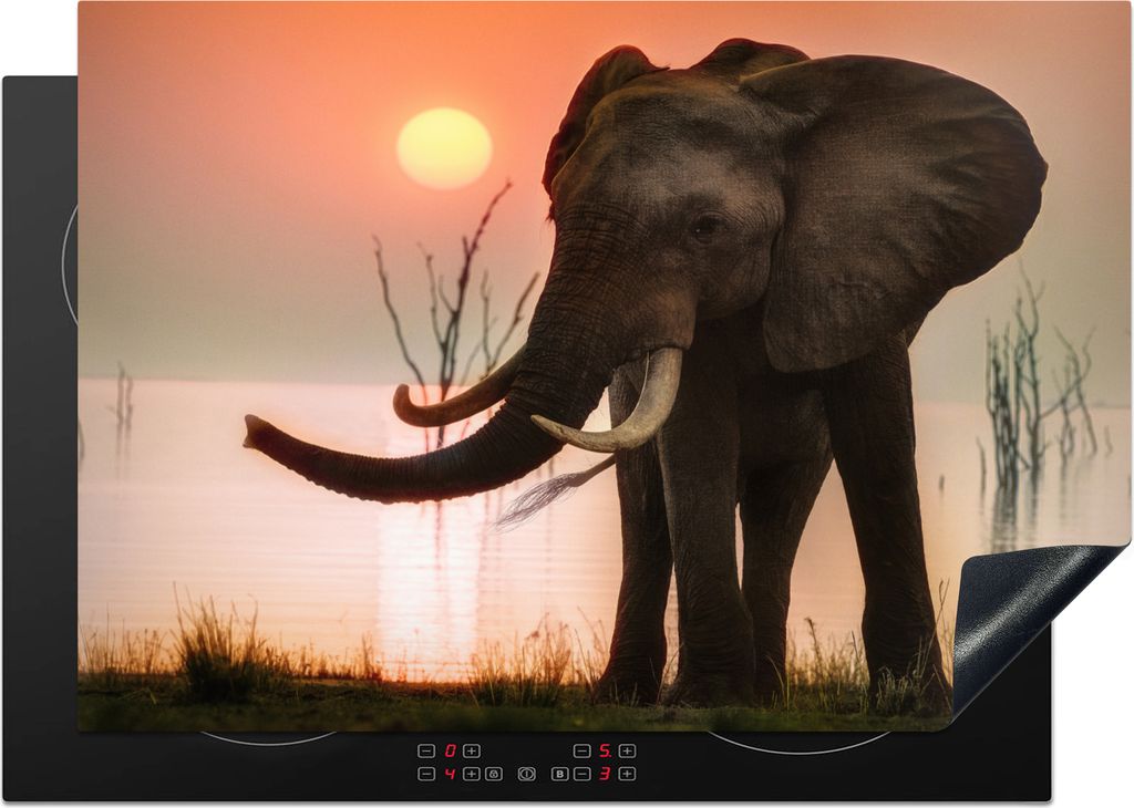 KitchenYeah Herdabdeckplatte Elefant - Tiere - Wasser - Sonnenuntergang , 75x52cm, Küche Deko, Glaskeramikkochfeld Herdabdeckung, Abdeckplatte f...