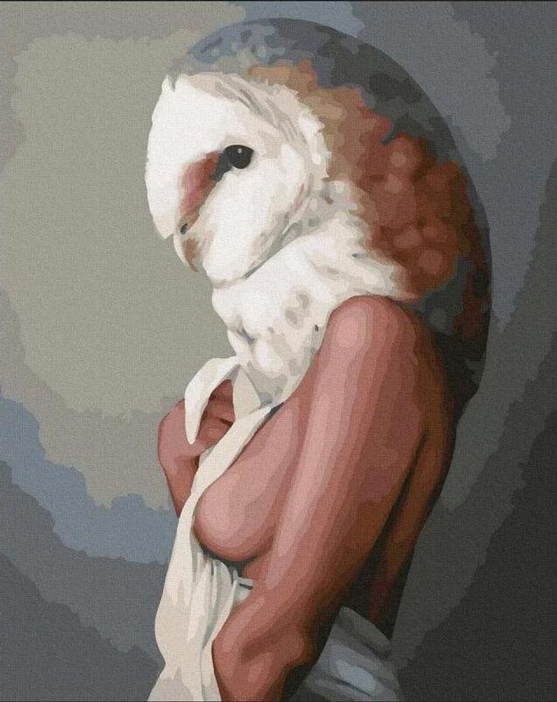Malen nach Zahlen - Weibliche Eule 40x50 cm