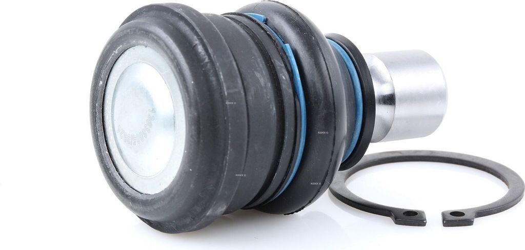 RIDEX Traggelenk Vorne Unten für RENAULT Clio III Schrägheck (BR0/1, CR0/1) 2462S0364