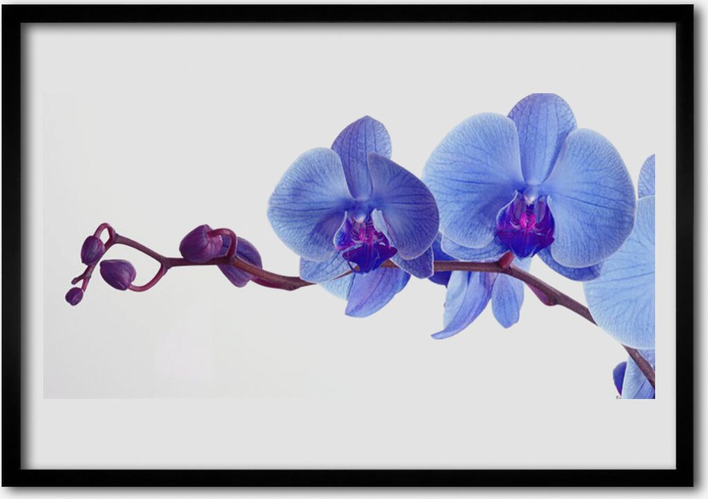 Bild 100x70 MDF-Rahmen Wandkunst Blumen Pflanzen