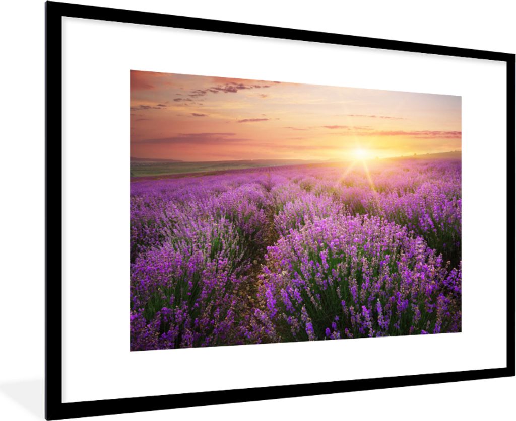 MuchoWow Gerahmtes Poster Lavendel - Sonne - Blumen 90x60 cm - Poster mit Schwarzem Bilderrahmen Wandposter Rahmen Foto Bilder - Wanddekoration -...
