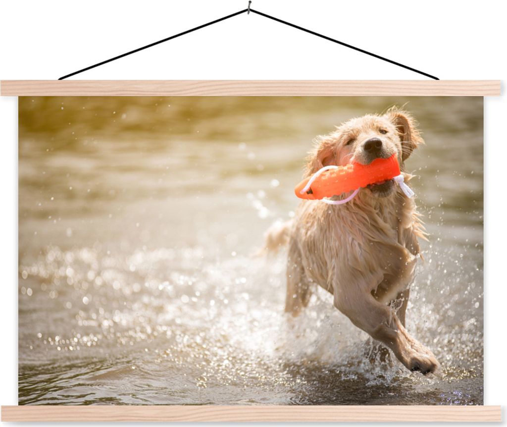 MuchoWow Textilposter Ein reinrassiger Golden Retriever Welpe läuft im Wasser 60x40 cm mit holzfarbenen Rahmen - Bilder