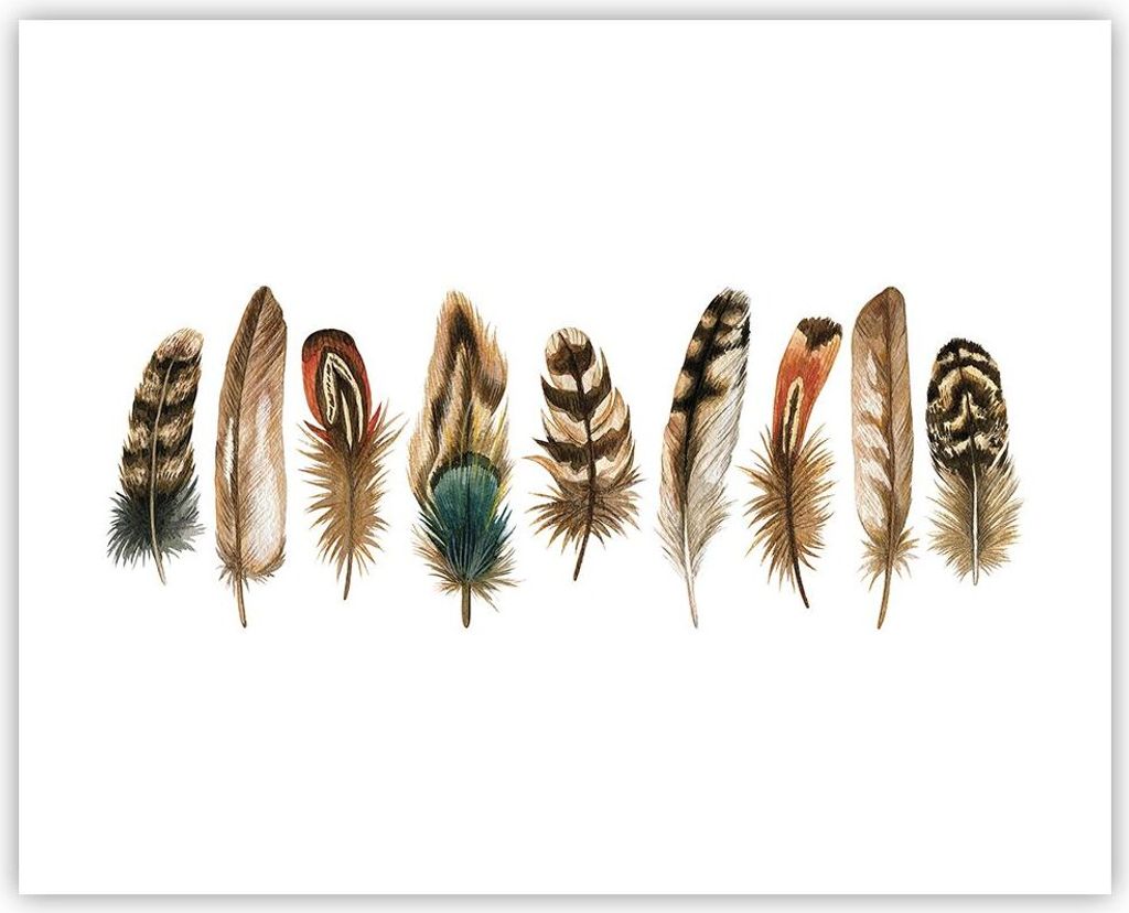 Poster - Poster ohne Rahmen - Weiß Hintergrund Federn - 50x40 cm - Wand Bild - Wanddeko - Wandbilder - Kunstposter - Wandposter - Bilder - Kunstdr...