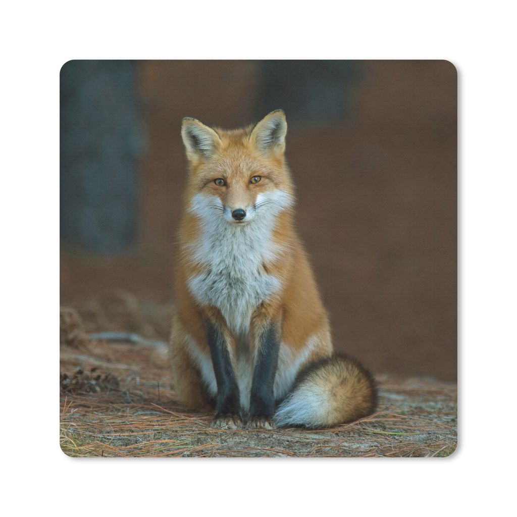 MuchoWow® Mauspad Mousepad Fuchs - Makro - Rot 20x20 cm - Produktbild 