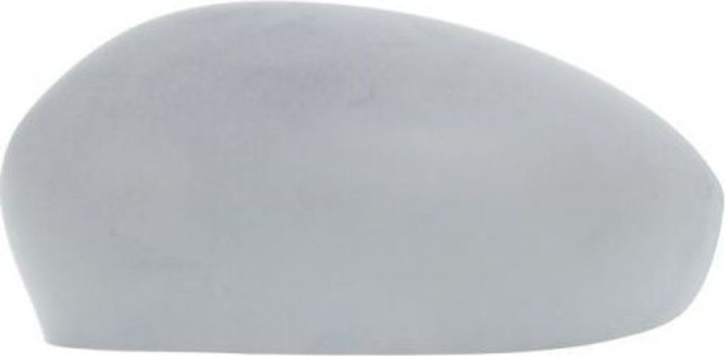 Außenspiegel - Blende BLIC 6103-01-1321930P