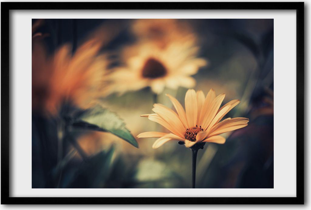 Bild 60x40 MDF-Rahmen, Wandkunst Frühlingsblume