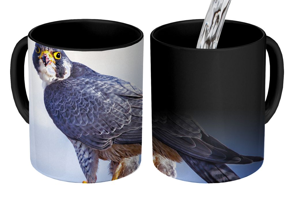 KitchenYeah Zauber Tasse Zaubertasse Magic Nahaufnahme eines Raubvogels auf einer dicken Holzstange 350 ml Farbwechsel Becher Geschenk Geschenkid...