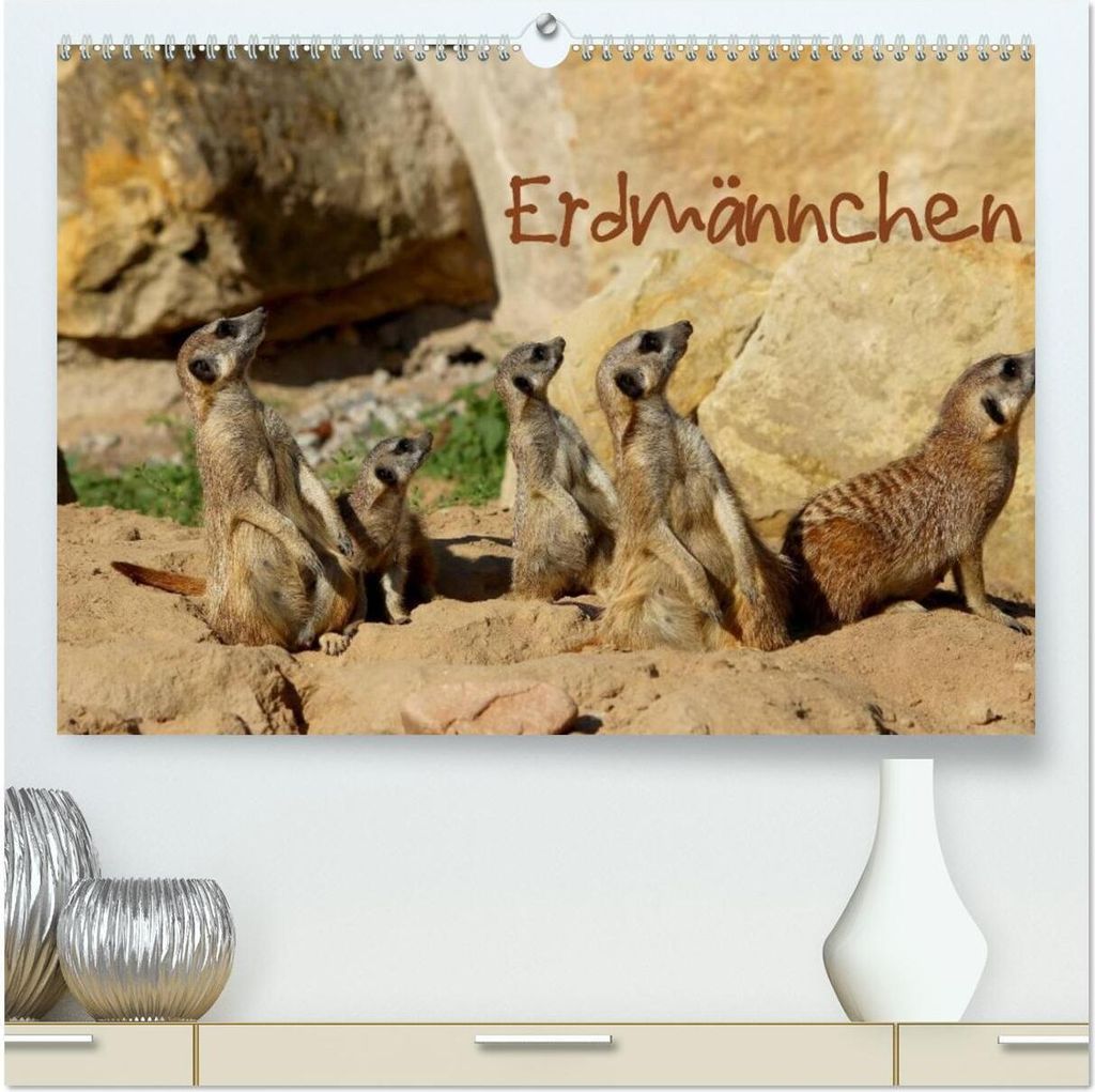 Erdmännchen (hochwertiger Premium Wandkalender 2026 DIN A2 quer), Kunstdruck in Hochglanz