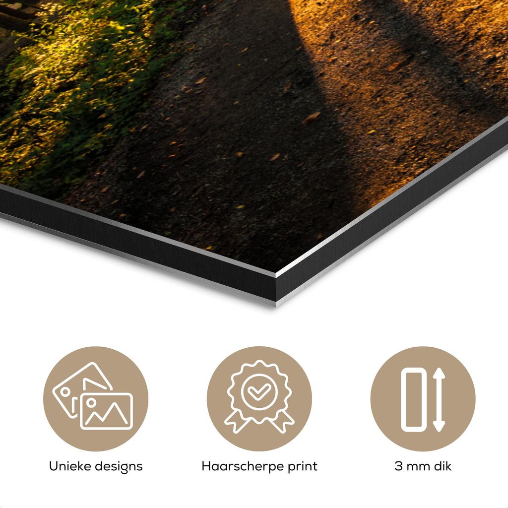 MuchoWow Wanddekoration Metall Metallbild Wandkunst 150x100 cm Sonne - Bäume - Wald - Landschaft - Natur MuchoWow Aluminium Gemälde - Alu Dibond ...