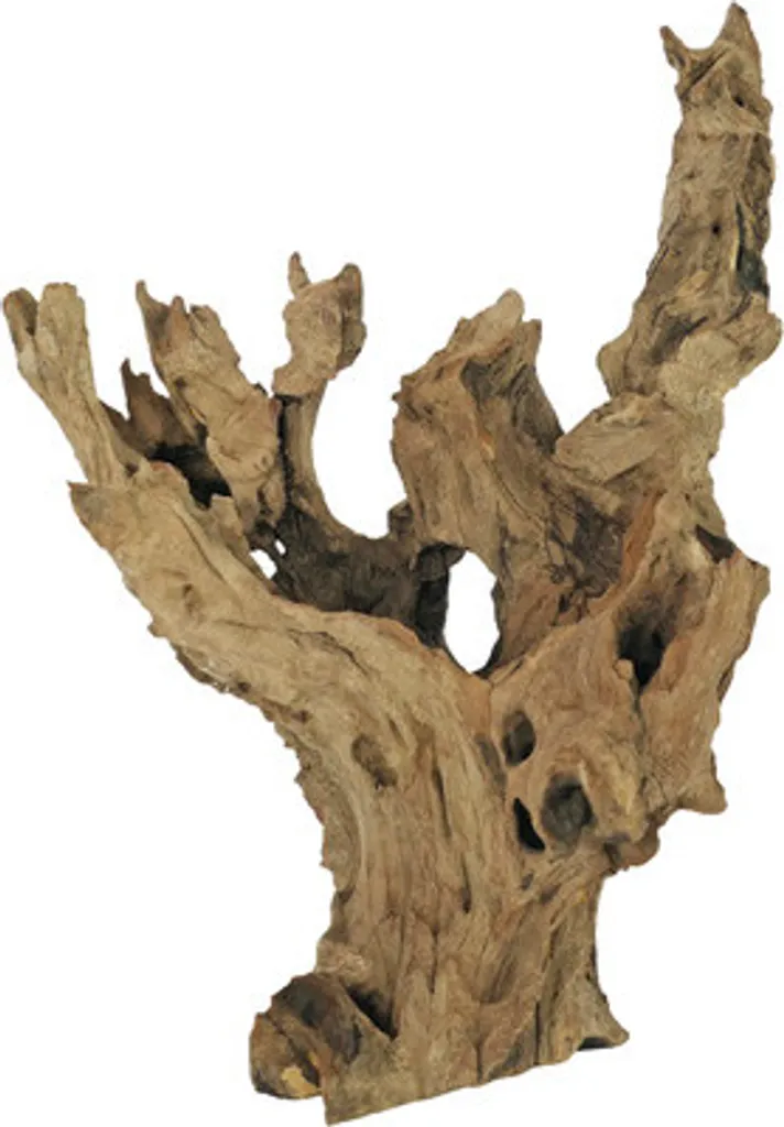 Radice Barico S (15-20 cm) per Acquari | Legno Naturale Decorativo