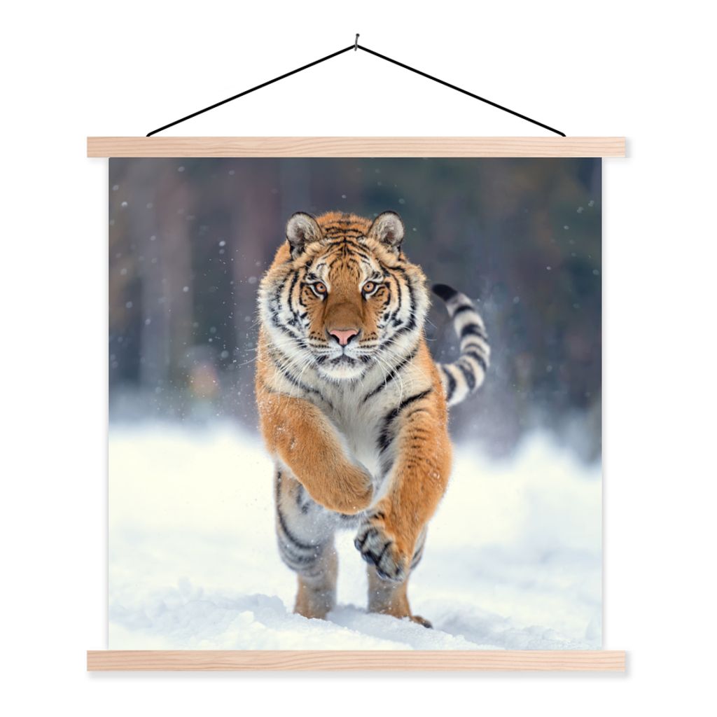 MuchoWow Textilposter Tiger - Landschaft - Schnee - Tiere 120x120 cm mit holzfarbenen Rahmen - Textil-Poster