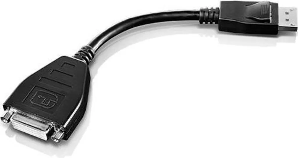 Câble Lenovo DisplayPort vers Single Link DVI - Adaptateur Vidéo 20cm