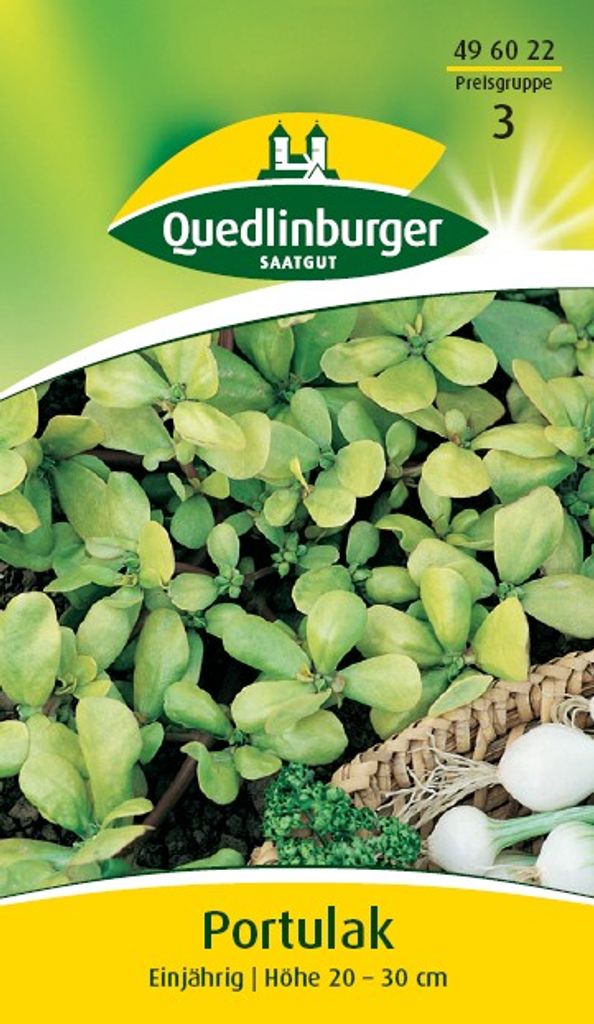 konifere künstlich Kunstpflanze Konifere deluxe 60 cm UV – Easyplants Deutschland