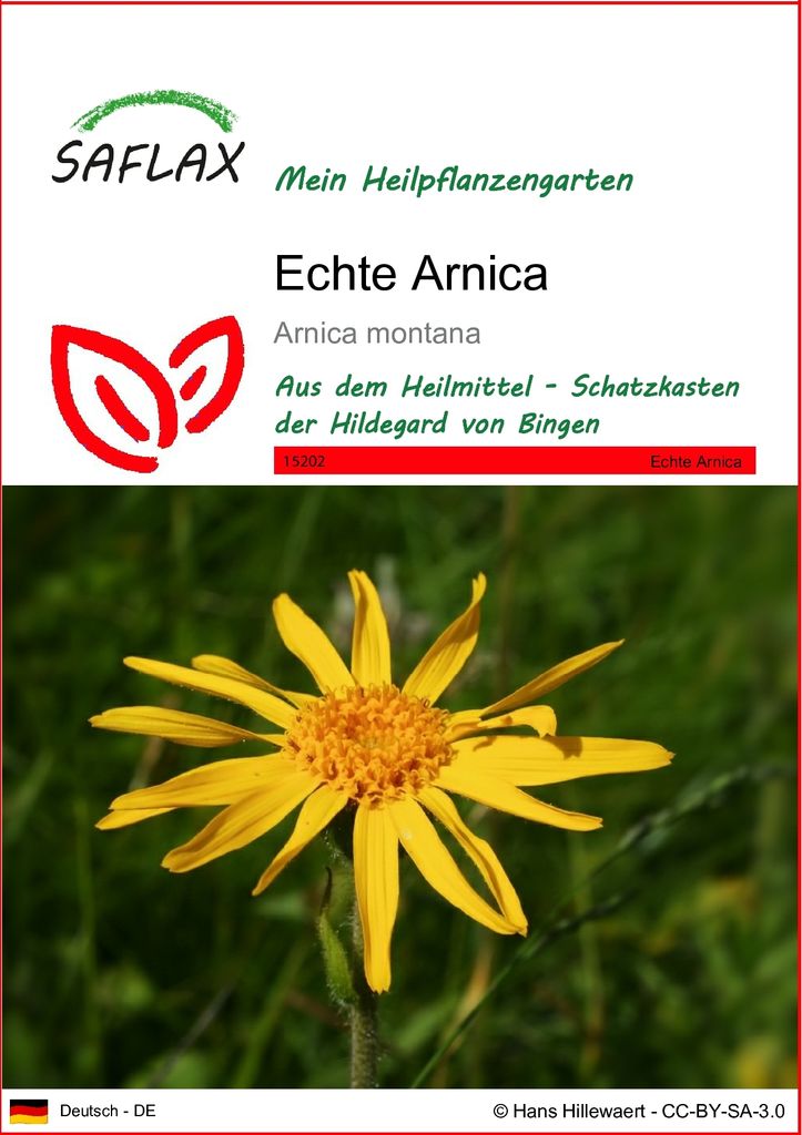 SAFLAX - Echte Arnica - Arnica montana - 40 Samen Produktbild 