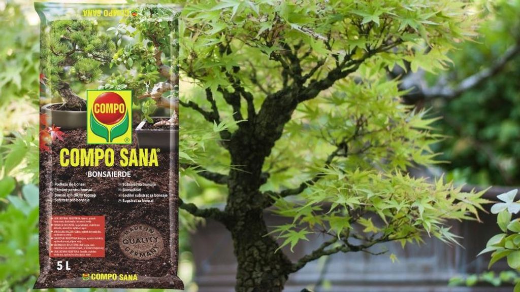 Bonsai Erde Ficus - 5l - Hochwertig - Nhrstoffreich -