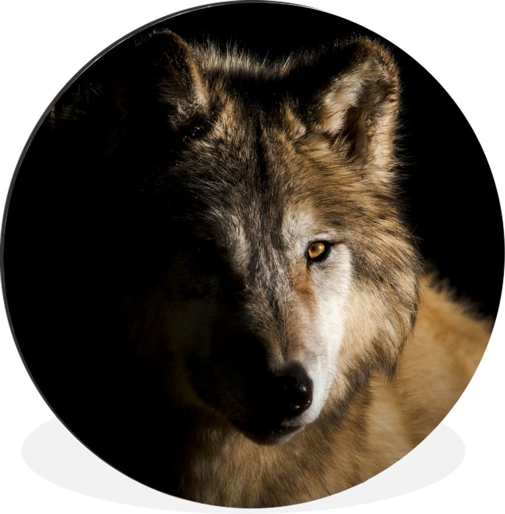 MuchoWow Aluminium Wandkreis Polarwolf Ø 90 cm Wanddeko Modern Wohnzimmer - Mauerkreis - Wandbilder - Runde Bild - Bild aus Aluminium - Schlafzi...