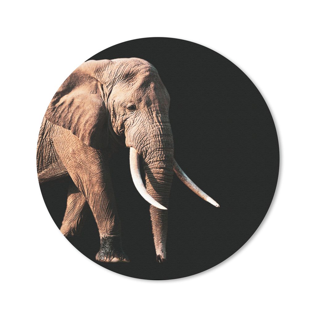MuchoWow Mauspad Mousepad Elefant - Zähne - Tiere 50x50 cm - Mousepads - Maus Mat - Pad - Mausunterlage - Vinyl