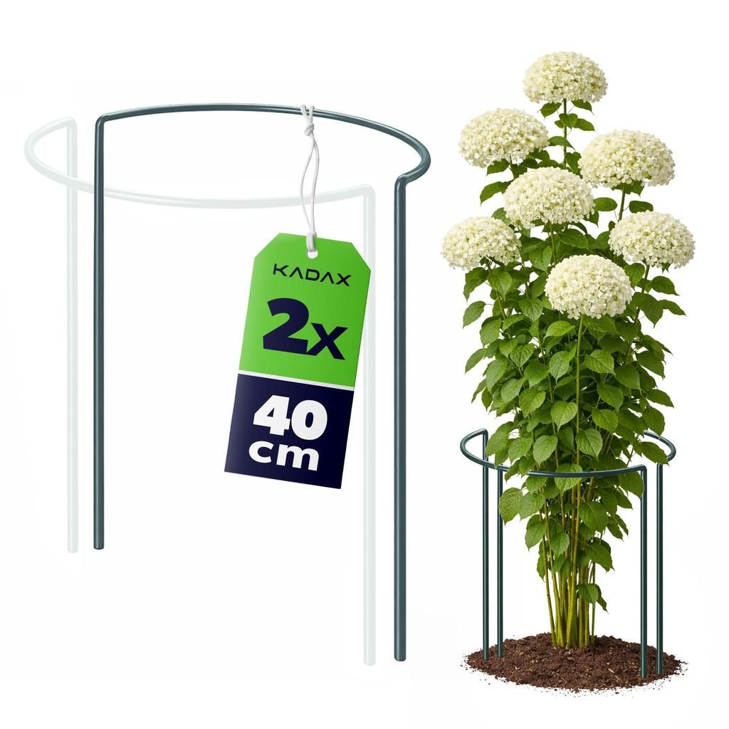 KADAX Pflanzenstütze 40 cm Höhe 2 Stück, Staudenstütze aus pulverbeschichtetem Stahl, Pflanzenhalter für Stauden, Pfingstrosen & Hortensien (H...