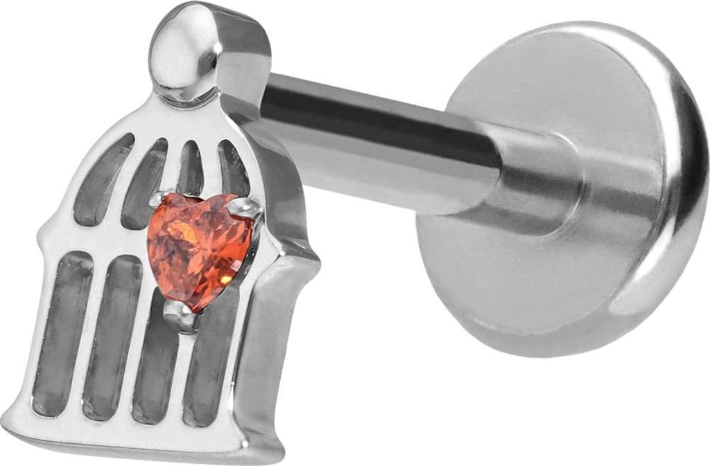 Ohrpiercing, Nasenpiercing Titan Labret mit Push Fit KÄFIG Silber Stablänge: 9mm | Stabstärke: 1,2mm