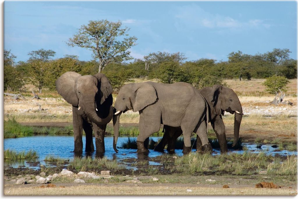 ARTland Leinwandbild Afrikanischer Elefant EtoshaNationalpark Größe: 60x40 cm