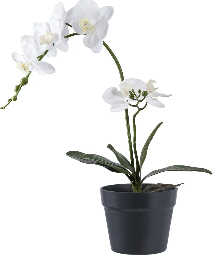Orchidée artificielle Orkidé en bois 49cm vert et blanc décorative