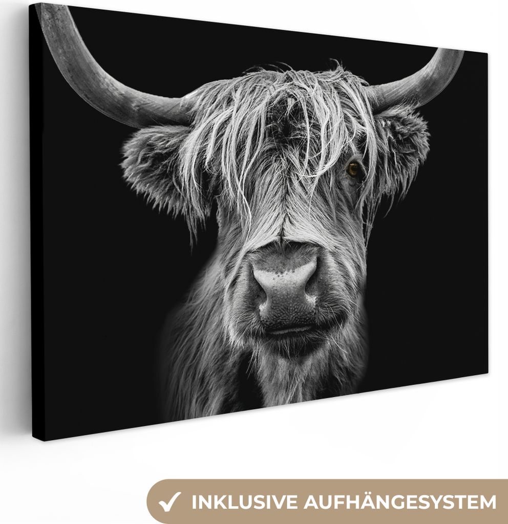 MuchoWow - Leinwandbilder - Schottischer Highlander - Hörner - Schwarz - Weiß - Kuh - Wild - Tiere, Wandbild, Wanddeko Bilder Wohnzimmer, 30x20 cm