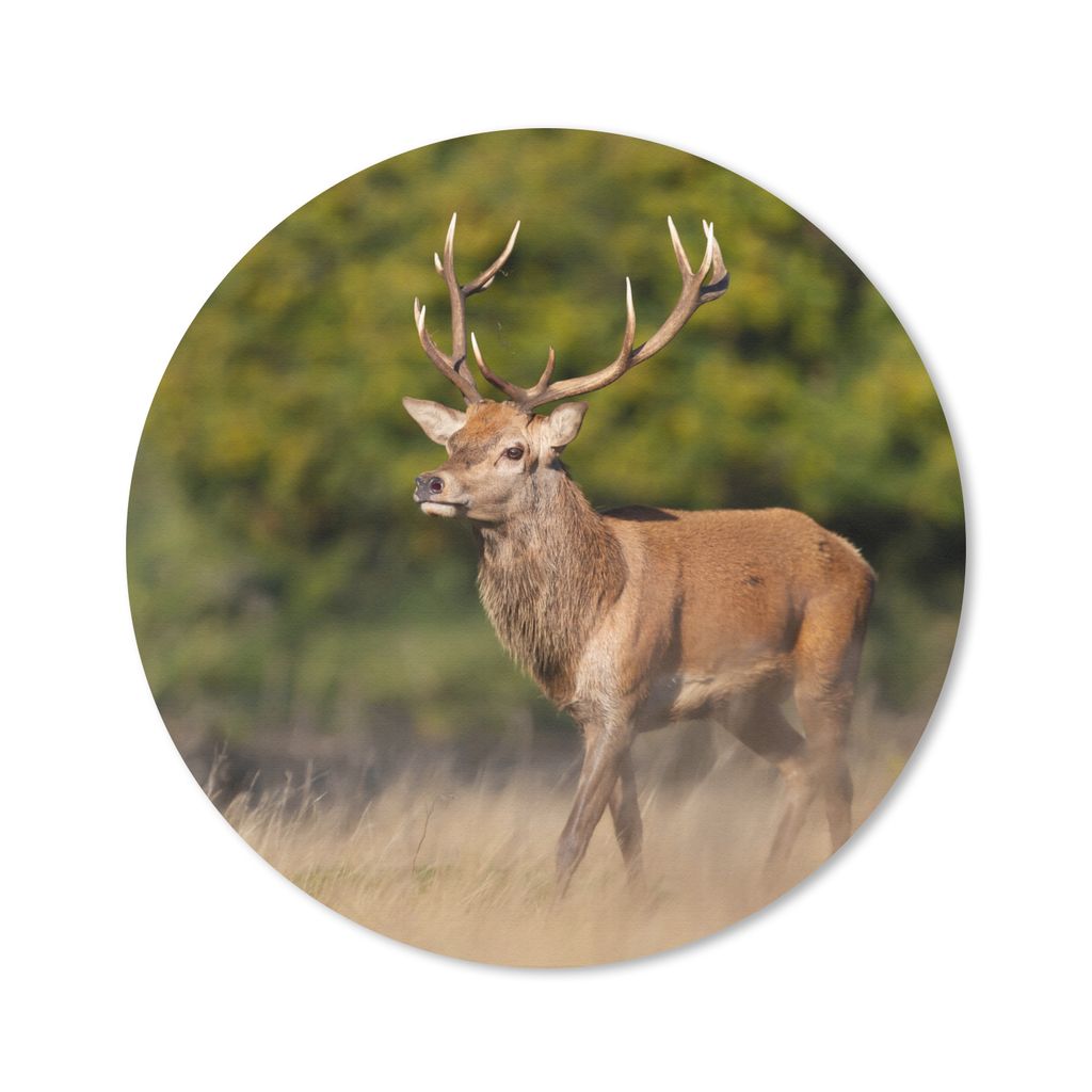 MuchoWow Mauspad Mousepad Tiere - Hirsche - Geweihe - Waldtiere - Natur 50x50 cm - Mousepads - Maus Mat - Pad - Mausunterlage - Vinyl