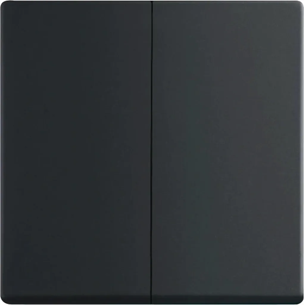 Plaque de Commande Busch-Jaeger Future Linear Noir Mat 1785-885 Original