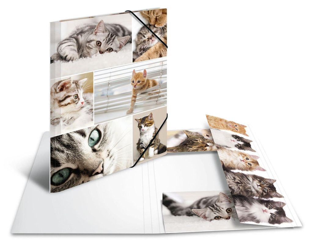 HERMA Sammelmappe A4 Katzen Pappe Image du produit 