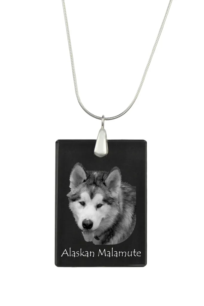 Collier souvenir Malamute pour garder votre chien près du coeur