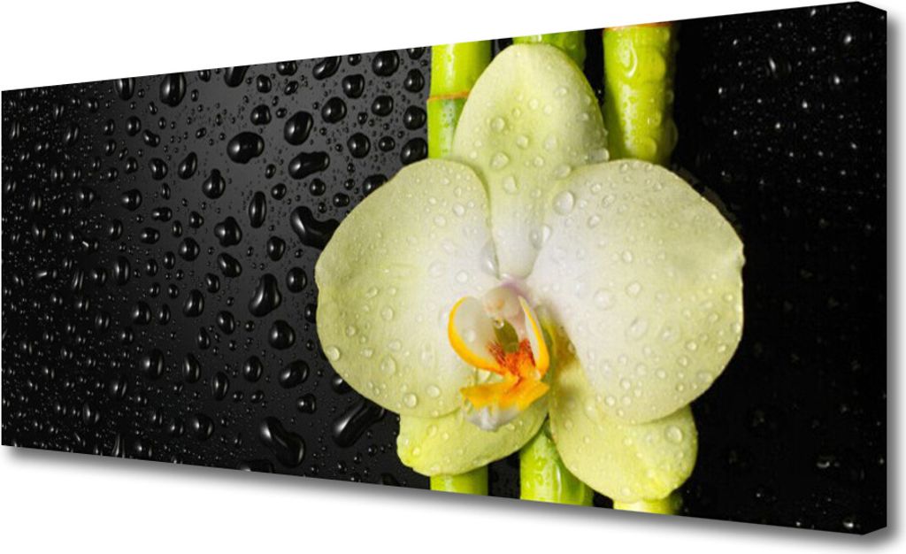 Tulup Leinwand-Bilder 125x50 Wandbild Canvas Kunstdruck Bambusrohre Blume Pflanzen